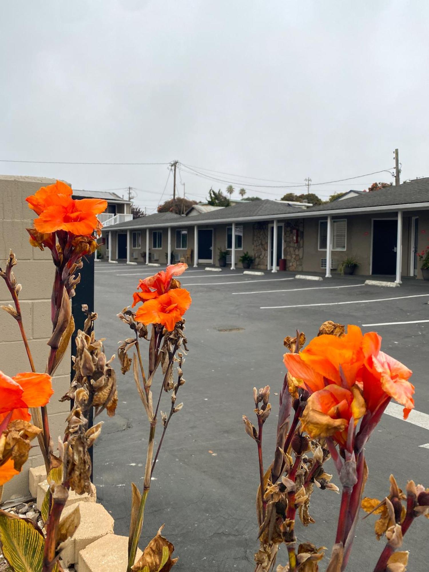 Rockview Inn And Suites Morro Bay Exterior photo